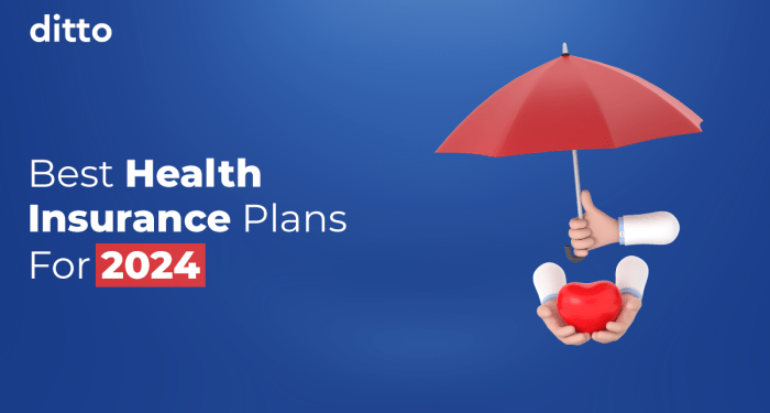 Health Insurance Plan Benefits | Ditto 2025